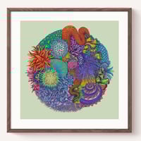 Image 1 of Green Snake Pit