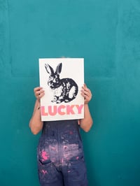Image 2 of LUCKY Bunnies