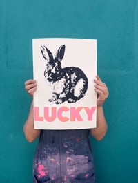 Image 1 of LUCKY Bunnies