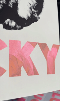 Image 6 of LUCKY Bunnies