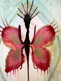 Image 2 of Sorrel Charm