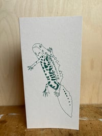 Image 2 of Great Crested Newt card