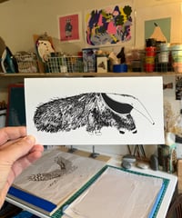 Image 1 of Anteater Card