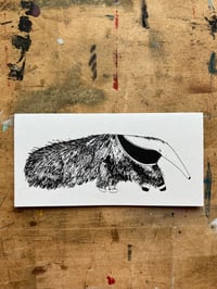 Image 2 of Anteater Card
