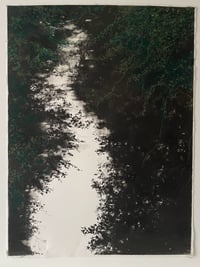 Image 2 of River Frome