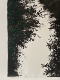 Image 4 of River Frome