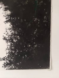 Image 5 of River Frome