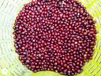 Image 4 of Vajusa Azul - Costa Rica | ESPRESSO