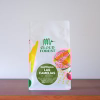 Image 1 of Las Camelias - Guatemala | ESPRESSO