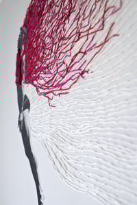 Image 5 of Lévitation