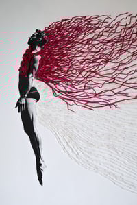 Image 1 of Lévitation