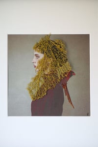 Image 1 of Voile d’aile