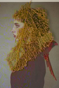 Image 3 of Voile d’aile