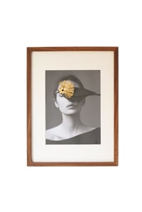 Image 4 of Regard d'or