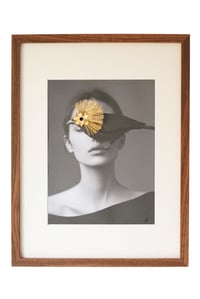 Image 3 of Regard d'or