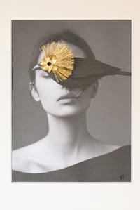 Image 2 of Regard d'or