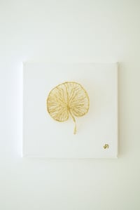 Image 2 of Lotus sacré