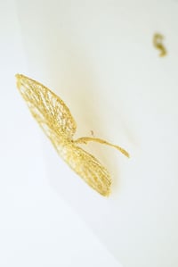 Image 3 of Lotus sacré