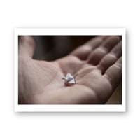 Alessandro Ruzzier 1