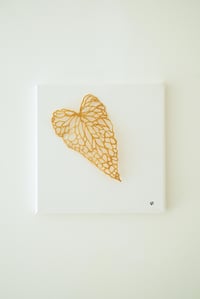 Image 2 of Feuille de bégonia – Série Herbarium de lumière