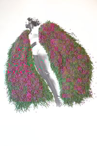 Image 2 of Floraison intérieure