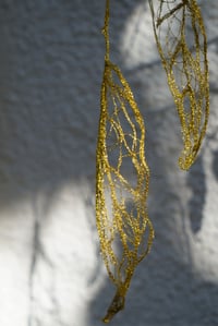 Image 3 of Coques suspendues