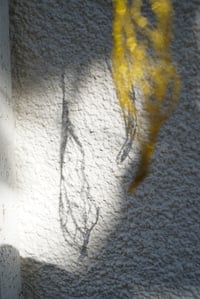 Image 4 of Coques suspendues