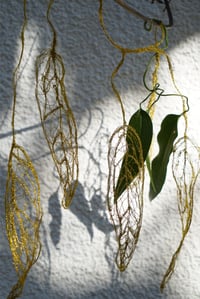 Image 5 of Coques suspendues