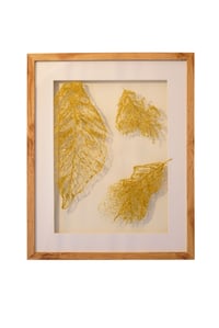 Image 2 of Souffles suspendus