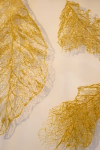 Image 1 of Souffles suspendus