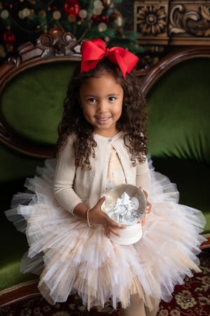 Image of Elegant Living Room - Twinkling Christmas Arch  11/8