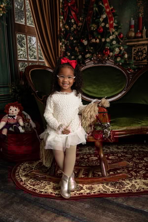 Image of Elegant Living Room - Twinkling Christmas Arch  11/8