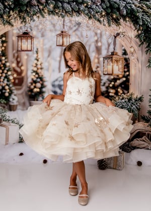 Image of Elegant Living Room - Twinkling Christmas Arch 11/8