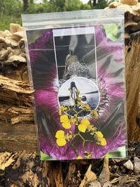 Developer + Vincent Dallas "Your Return To Earth" Pro CDr (Breaching Static)