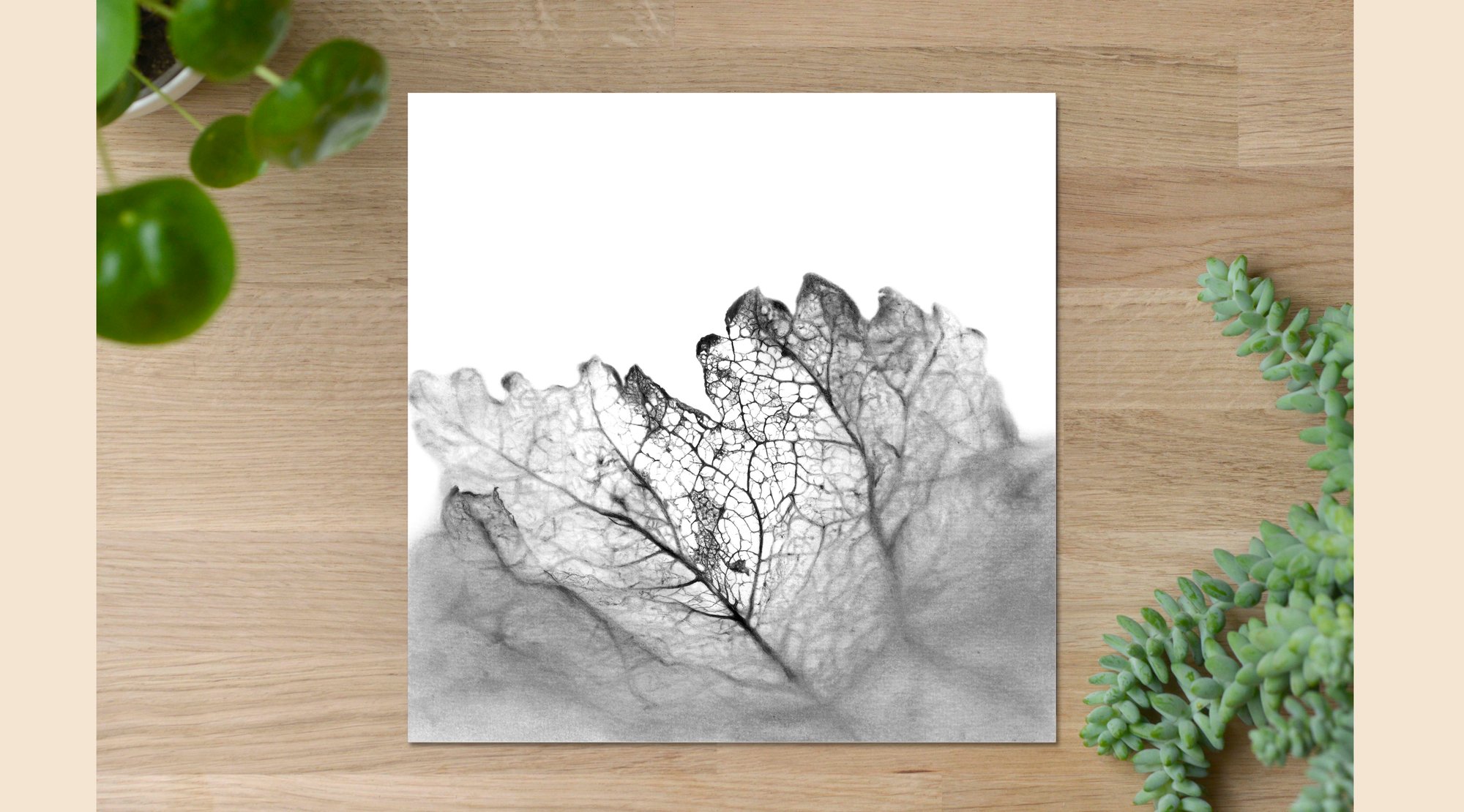 Image of Trame en Souvenir