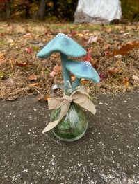 Image 1 of Blue Mushrooms In Oil Cruet