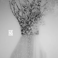 Image 1 of Negură Bynget - Zău