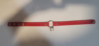 Image 1 of Leather support choker