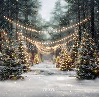 Image 1 of Holiday Mini  - Studio - 12:00 Nov. 9th Sunday