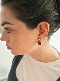 Image 2 of Brushed bronze / indigo discs