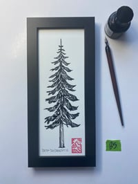 Original ink tree 5 Black Frame