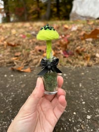 Image 2 of Green Mushroom In Glass Bottle