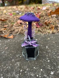 Image 1 of Purple Mushroom In Hexagonal Bottle
