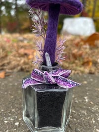 Image 3 of Purple Mushroom In Hexagonal Bottle