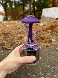 Image 4 of Purple Mushroom In Hexagonal Bottle