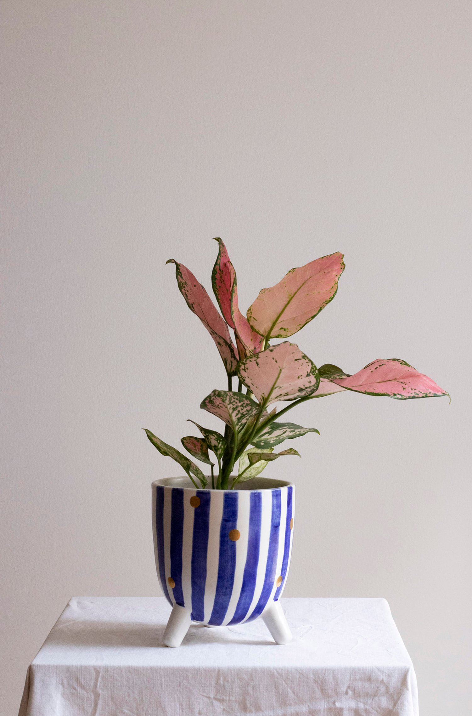 Image of TESSA Plant Pot