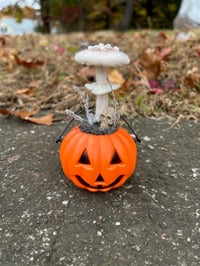 Image 3 of Pumpkin Treat Baskets