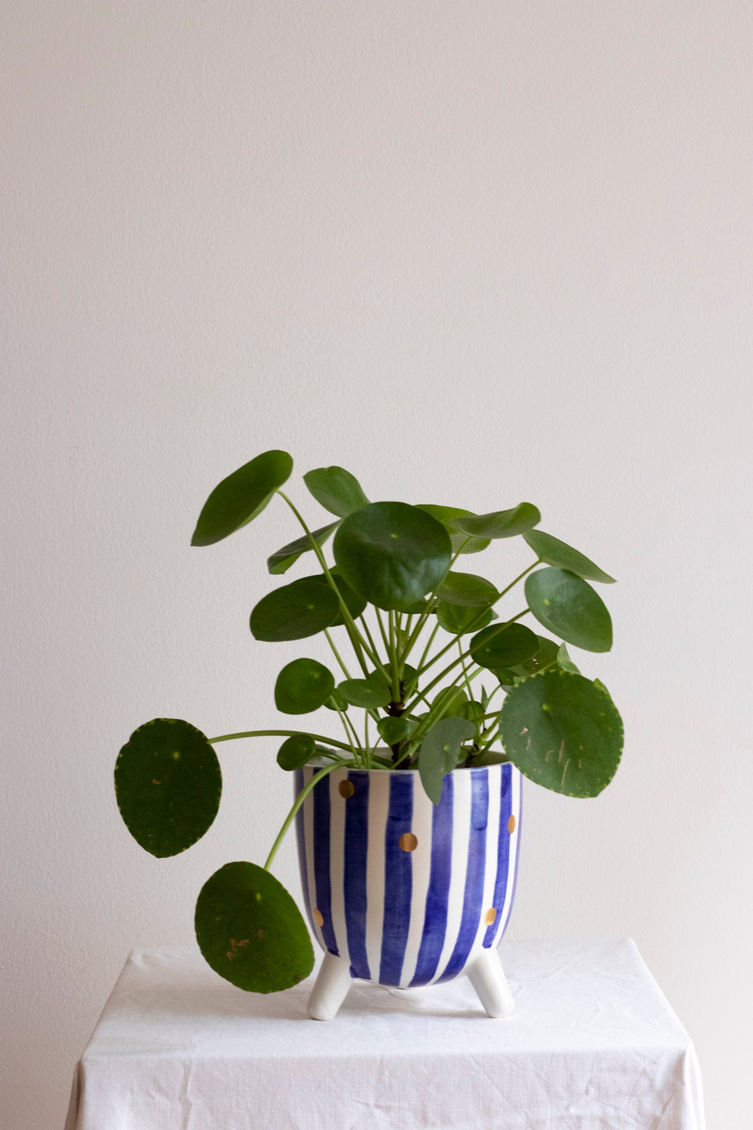 Image of TESSA Plant Pot