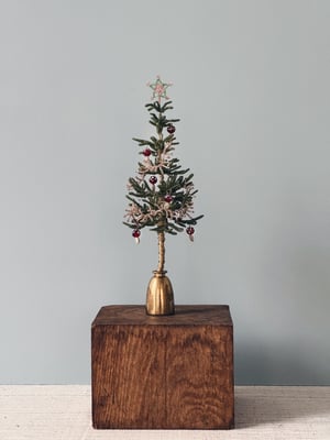 ‘Opstammet’ perlejuletræ