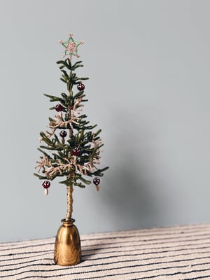 ‘Opstammet’ perlejuletræ